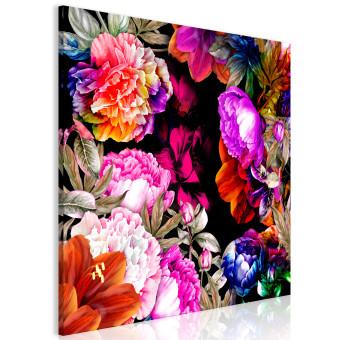 Canvas Peonies in Colorful Frame (1-part) - Garden Full of Floral Beauty