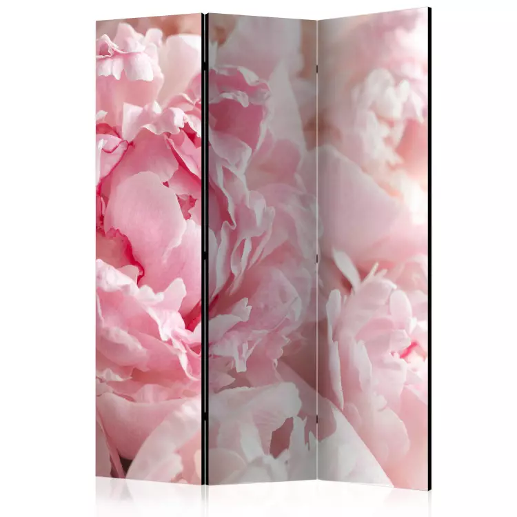 Sweet Peonies - pink flower petals against a bright light glow background