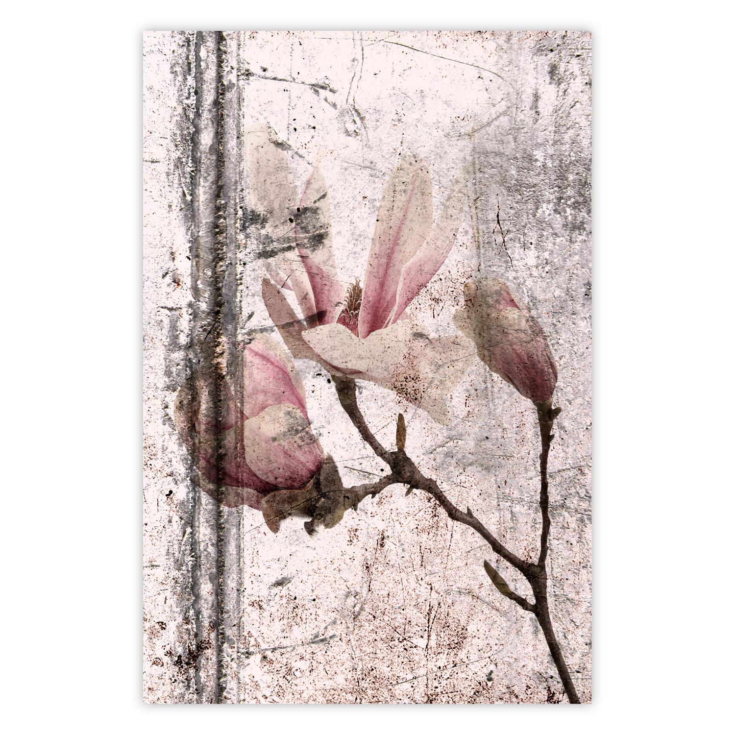 Poster Exquisite Magnolia - plant composition with vintage-style flowers