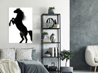 Canvas A rearing horse - black and white illustration of a horse silhouette