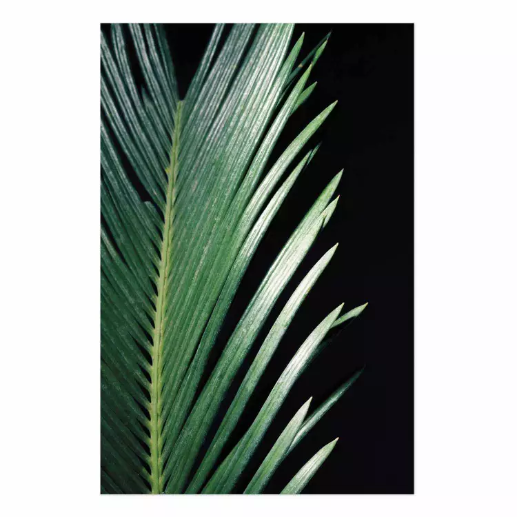 Sharp Leaves - botanical composition with plants on a background of deep black