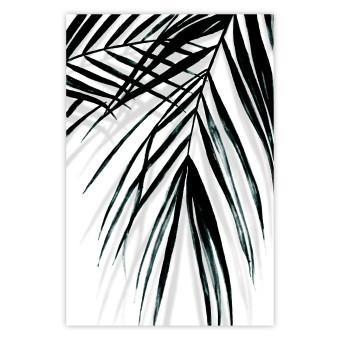 Poster Palm Relaxation - black and white composition with tropical plant leaves