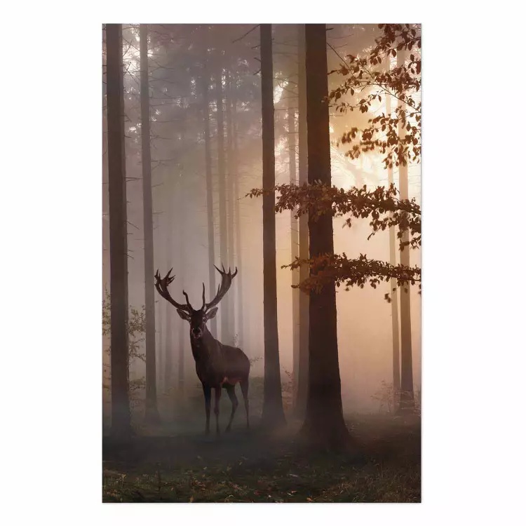 Morning - wild deer among forest trees against the backdrop of an autumn landscape