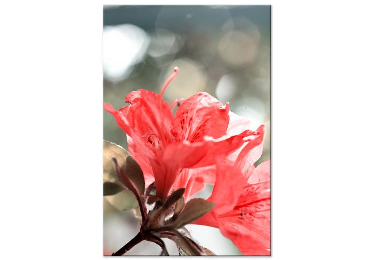 Canvas Print Hibiscus red - a minimalist photo of a twig and flowers