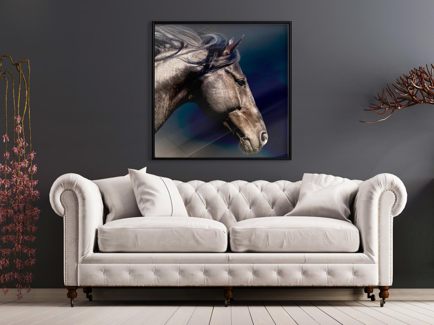 Gallery wall Dappled Majesty - composition with a portrait of a brown horse on a black background