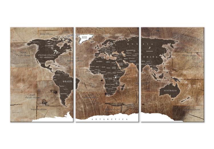 Canvas Print World Map: Wooden Mosaic (3 Parts)
