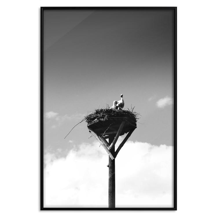 Poster Crow's Nest [Poster]