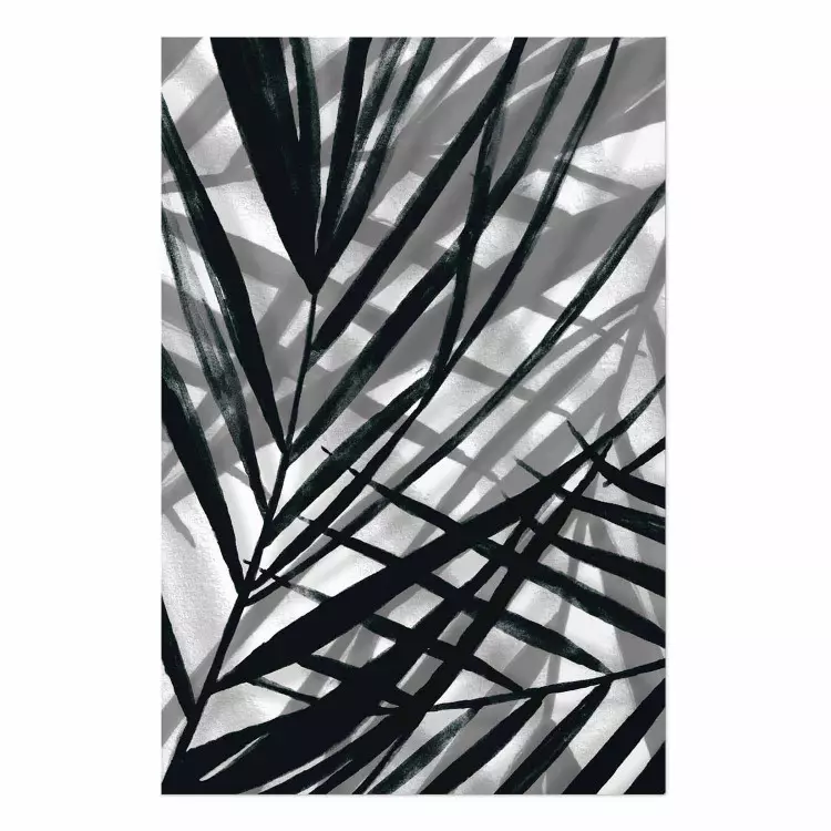 Poster In the Shade of Leaves - black and white leaves casting shadows on a white wall