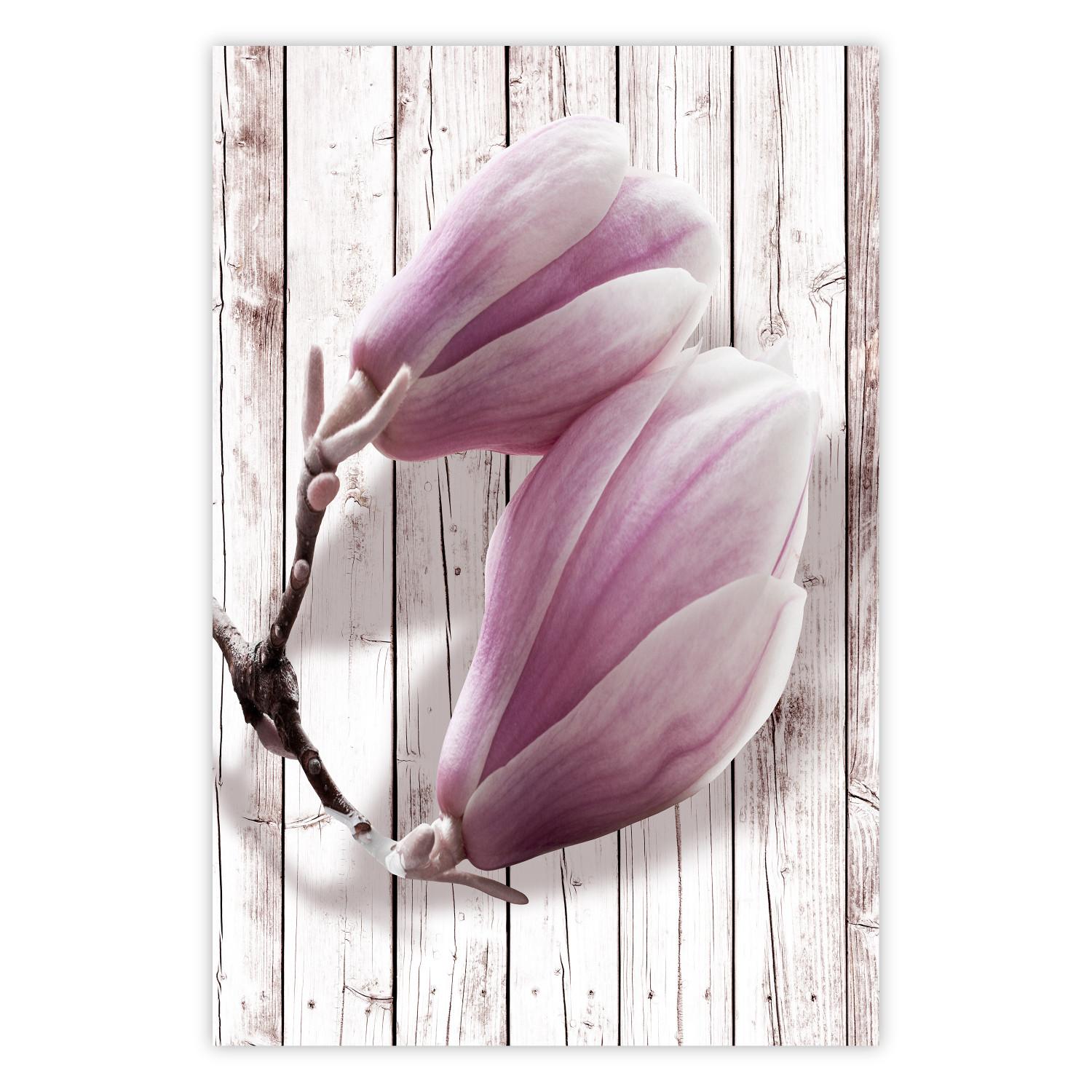 Poster Provence Magnolia - pink flowers on a background of white wooden boards