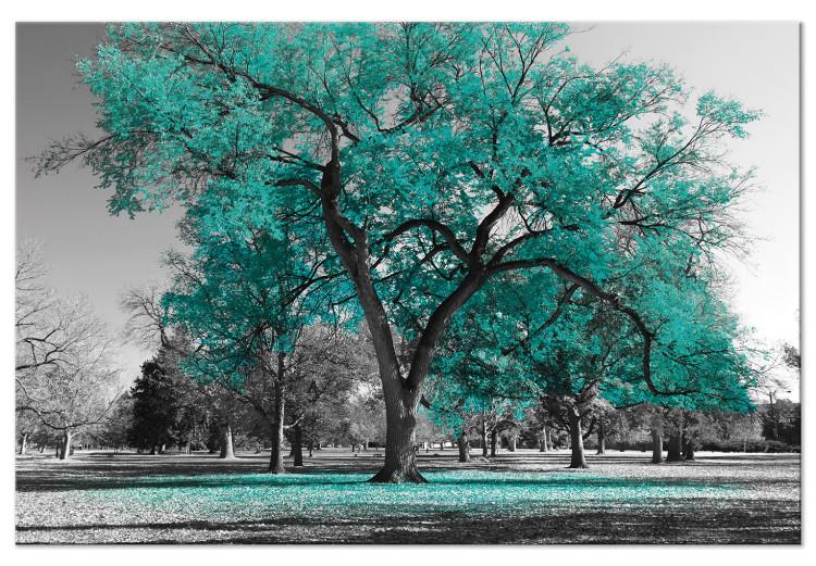 Canvas Print Autumn in the Park (1 Part) Wide Turquoise