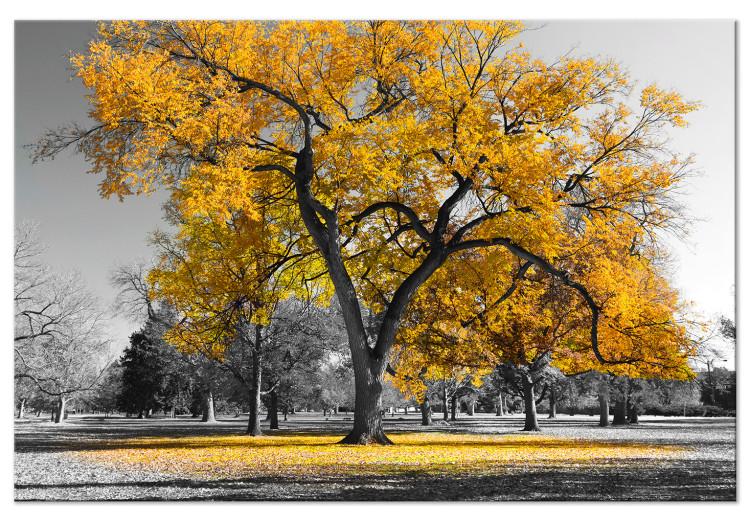 Canvas Print Autumn in the Park (1 Part) Wide Gold