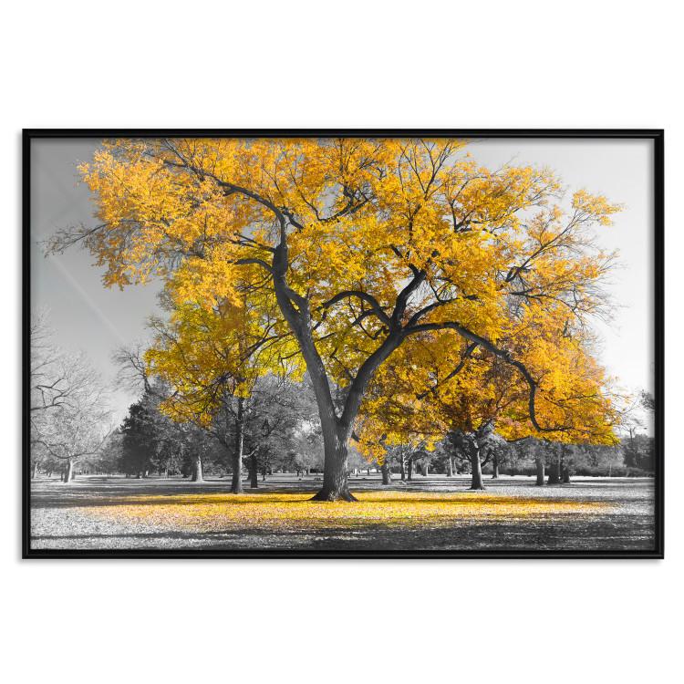Poster Autumn in the Park (Gold) [Poster]