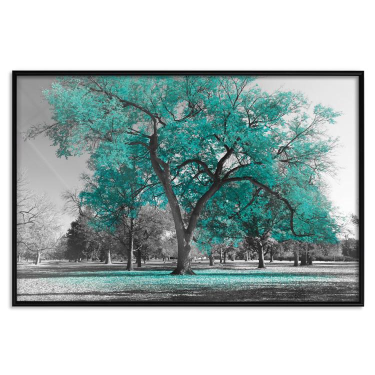 Poster Autumn in the Park (Turquoise) [Poster]