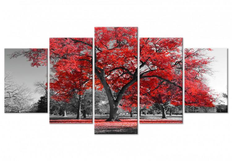 Canvas Print Autumn in the Park (5 Parts) Wide Red