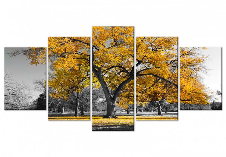 Canvas Print Autumn in the Park (5 Parts) Wide Gold