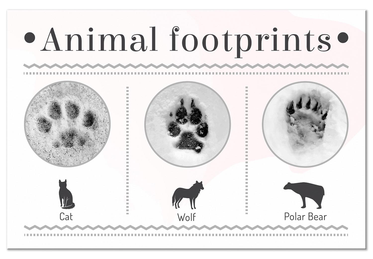 Canvas Winter footprints - infographic with animals and English inscriptions