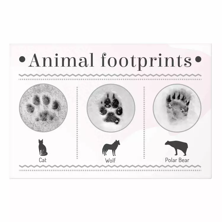 Poster Paw Prints - animal paw prints with black signatures and graphics