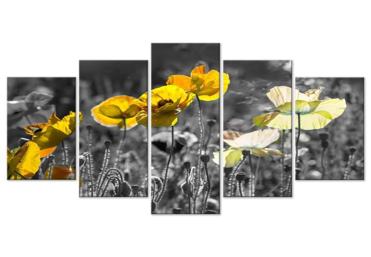 Canvas Print Yellow Poppies (5 Parts) Wide