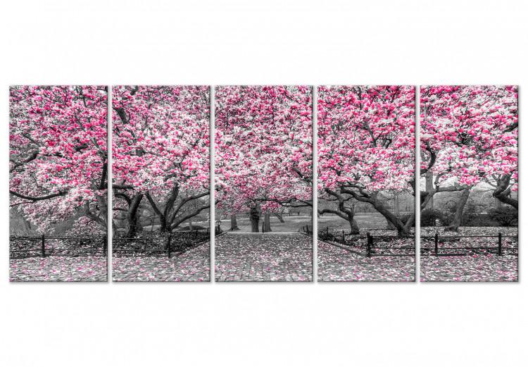 Canvas Print Magnolia Park (5 Parts) Narrow Pink