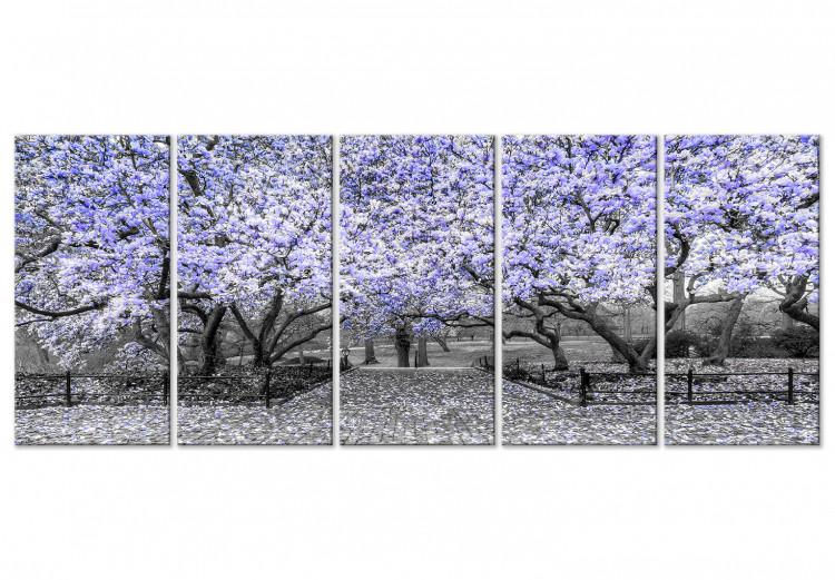 Canvas Print Blooming magnolia trees - black and white photo with a purple accent