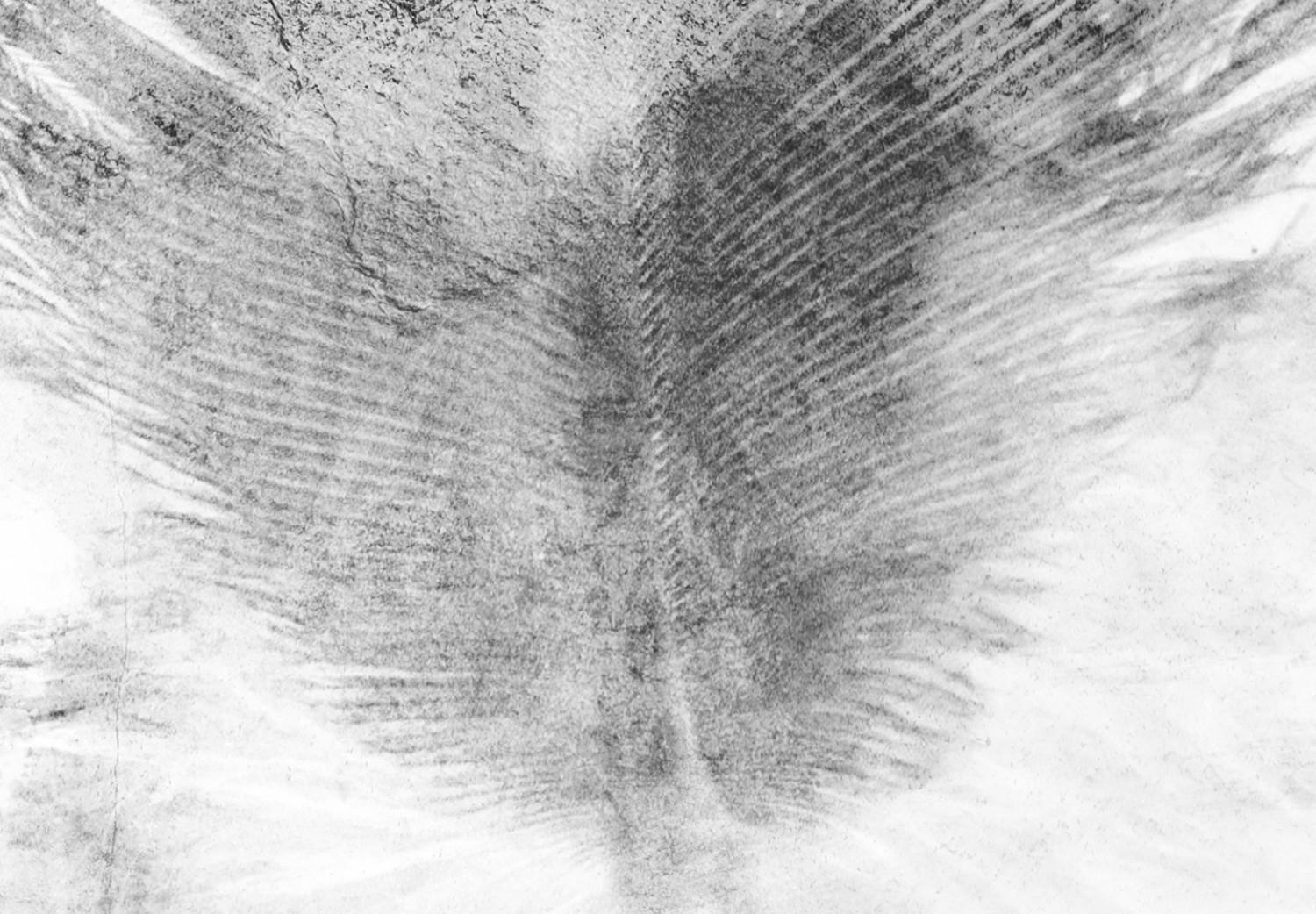 Gallery wall Fleeting - black sketch of a bird feather on contrasting white background