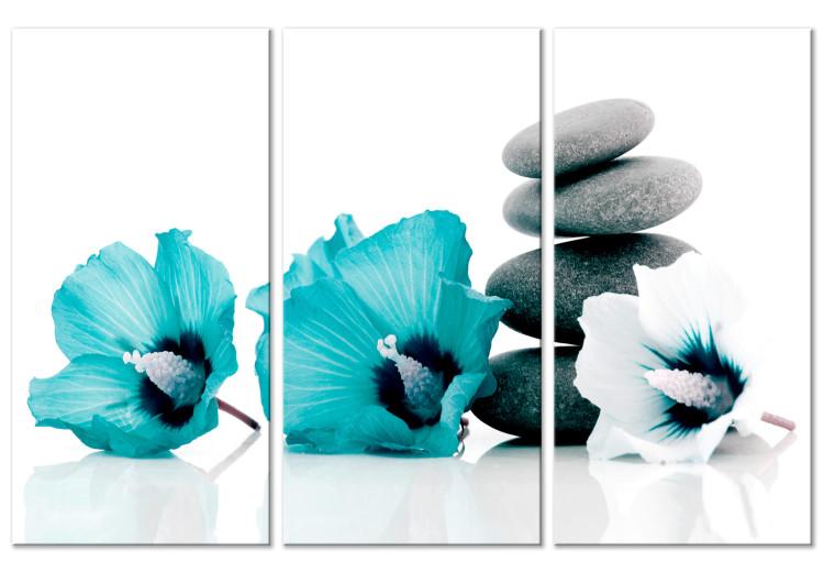 Canvas Print Blue flowers with stones - a composition of feng shui with mallow