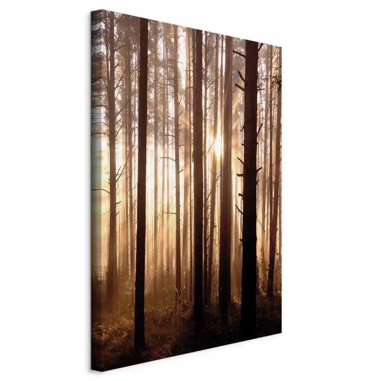 Forest Paths (1 Part) Vertical