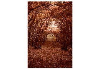 Canvas Corridor of trees - autumn forest path covered with leaves