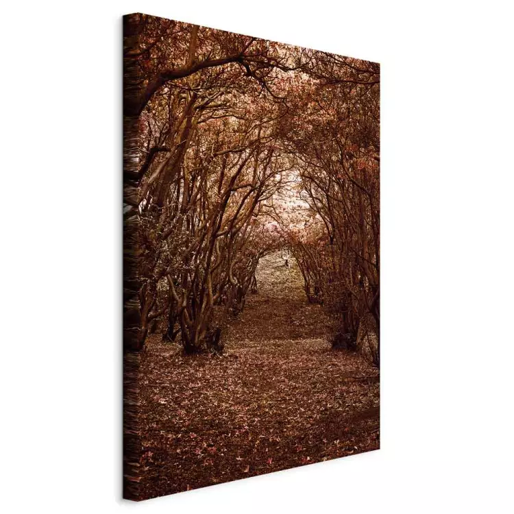 Corridor of trees - autumn forest path covered with leaves