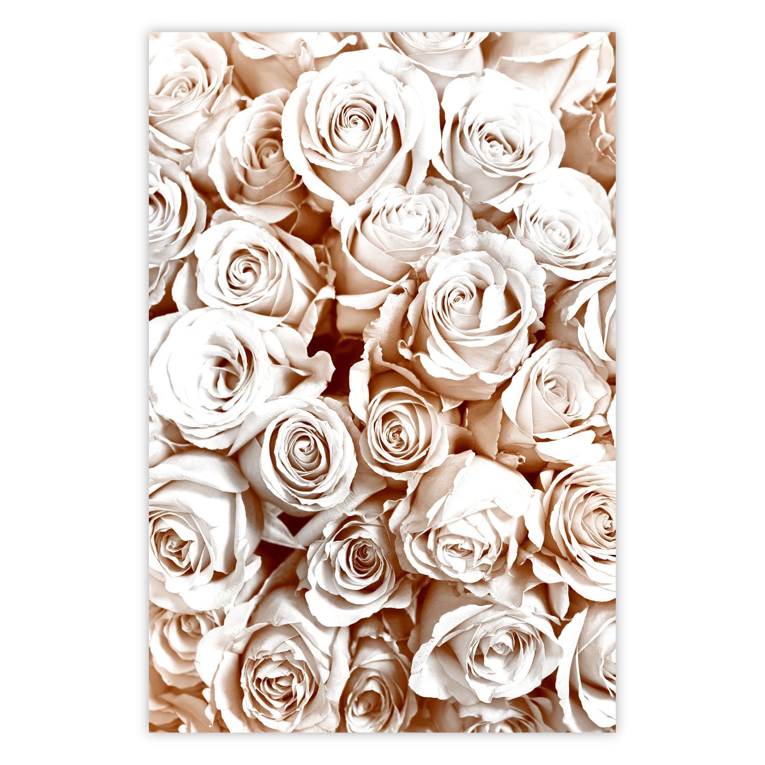 Poster Rose Garden - landscape of field of rose flowers in delicate pink shade