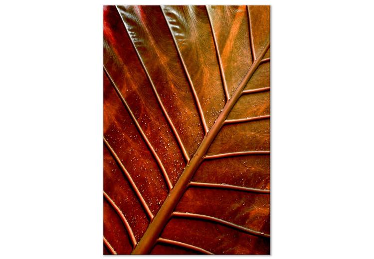 Canvas Print Copper leaf - a photograph of an autumn leaf in warm colours