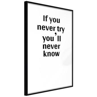If you never try you'll never know - English inscription on white background