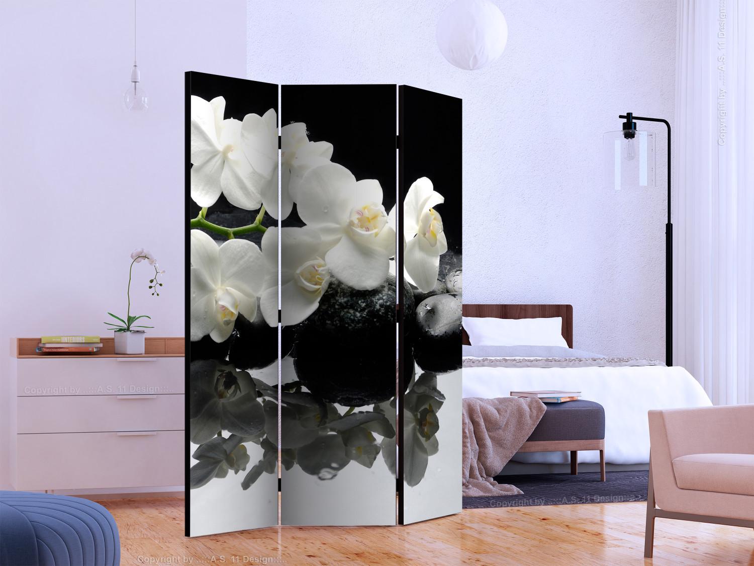 Room Divider Spa, Stones and Orchid [Room Dividers]