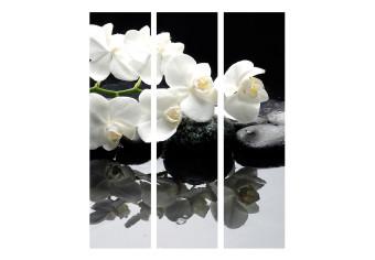 Room Divider Spa, Stones and Orchid [Room Dividers]