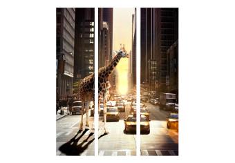 Room Divider Giraffe in the Big City (3-piece) - animal on a busy street