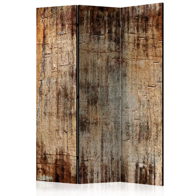 Tree Bark - wooden texture in warm colors
