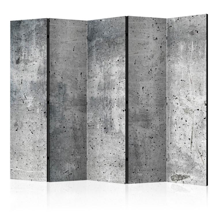 Room Divider Fresh Concrete II [Room Dividers]
