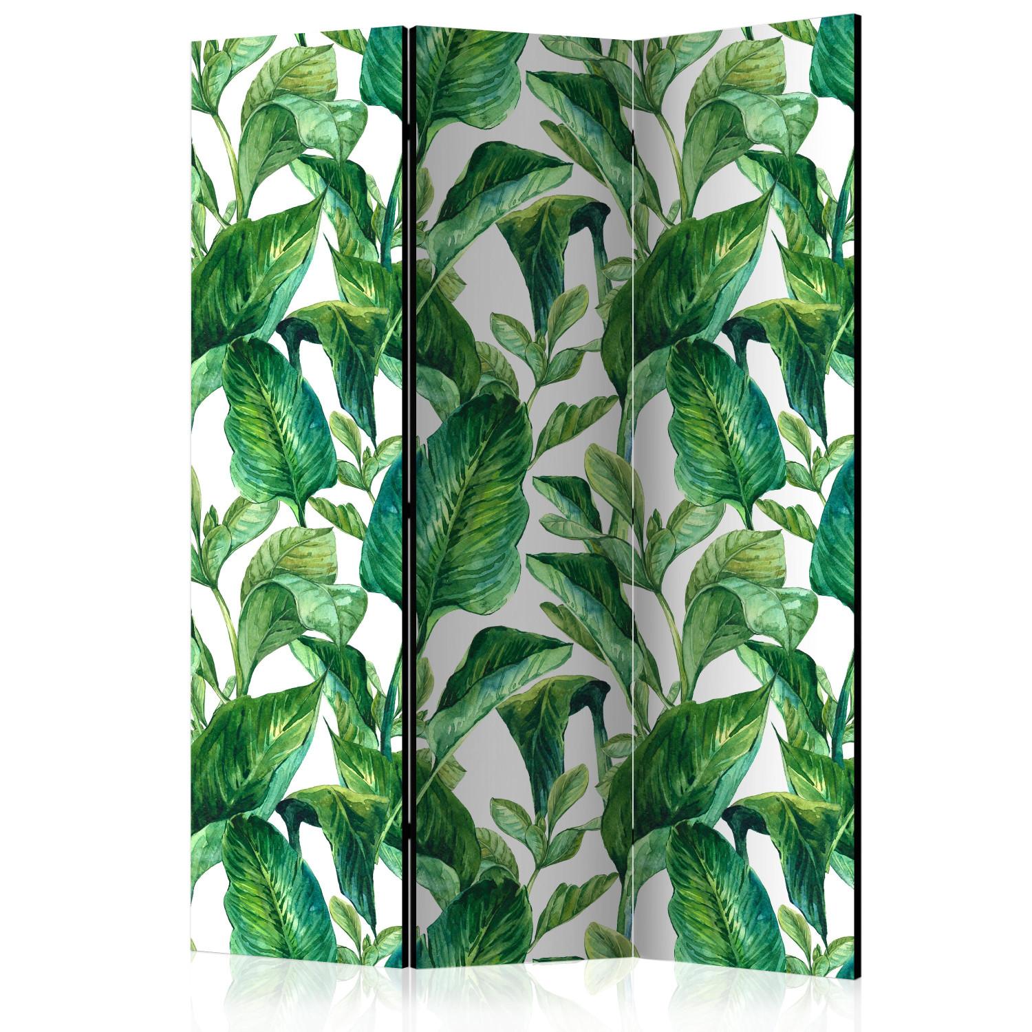 Room Divider Tropical Paradise (3-piece) - green exotic plants and white background