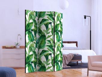 Room Divider Tropical Paradise (3-piece) - green exotic plants and white background