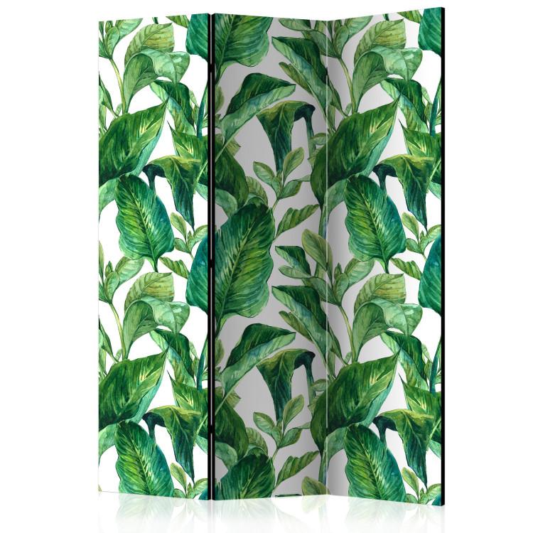 Room Divider Tropical Paradise [Room Dividers]