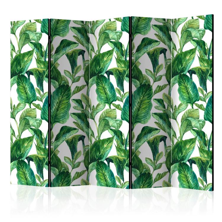 Room Divider Tropical Paradise II (5-piece) - exotic leaves on a white background