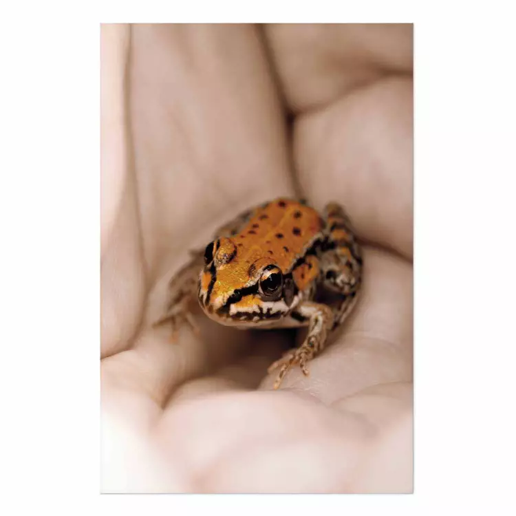 Poster The Good Life - tiny yellow frog on hand of a person