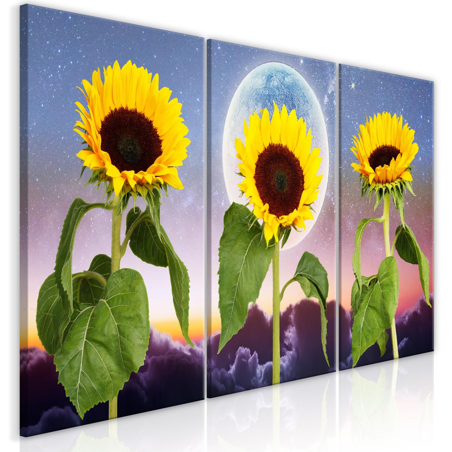Canvas Sunflowers on clouds background - triptych with flowers, moon and sky