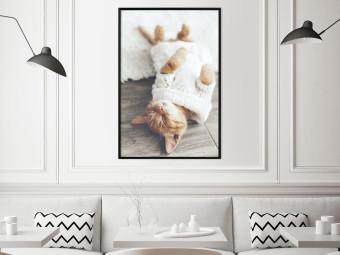 Gallery wall Lazy Cat - brown animal in a white sweater on a wooden floor