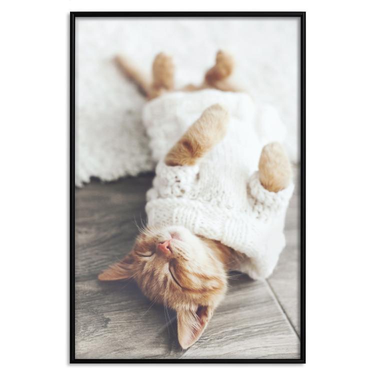 Poster Lazy Cat [Poster]