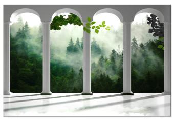 Canvas White columns in forest - architecture against trees in fog background