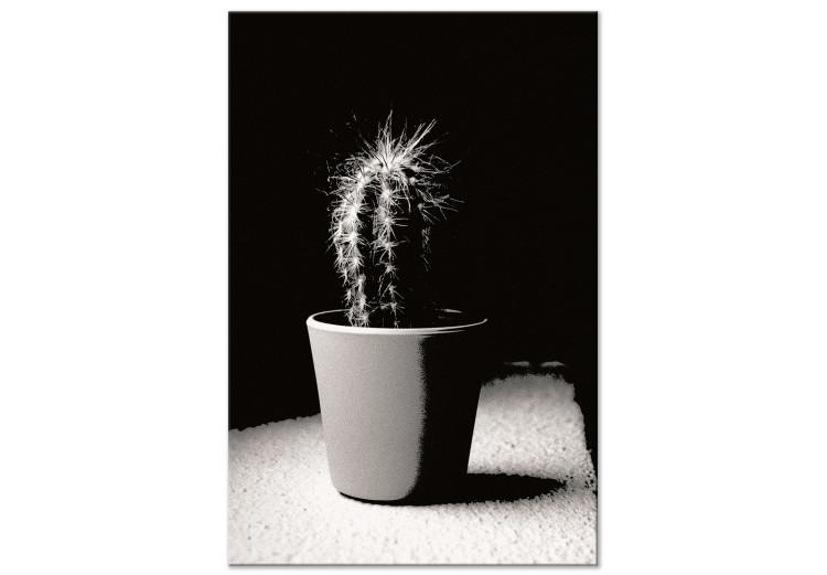 Canvas Print Cactus in a pot on the table - black and white photograph