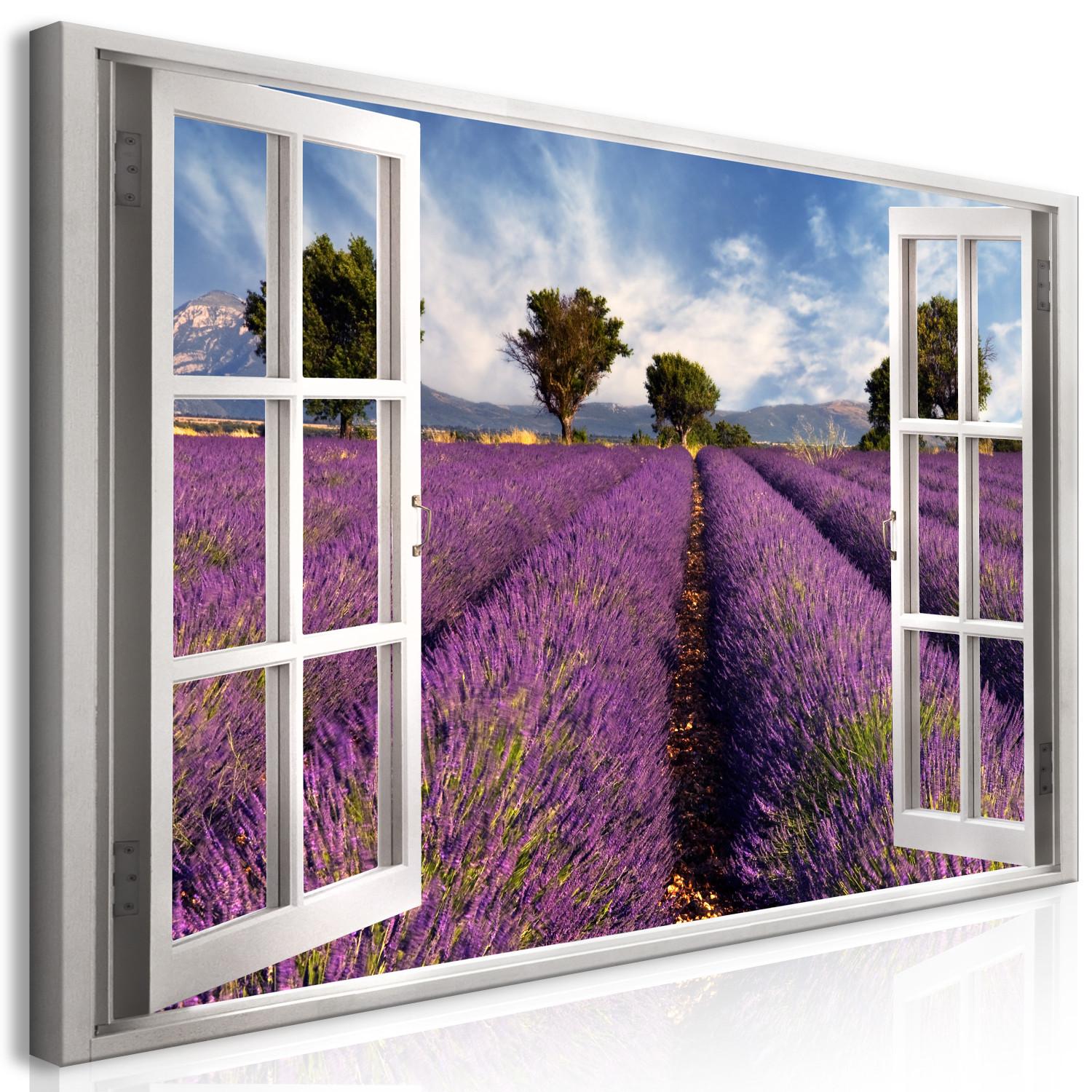 Large Canvas Lavender Field II [Large Format]