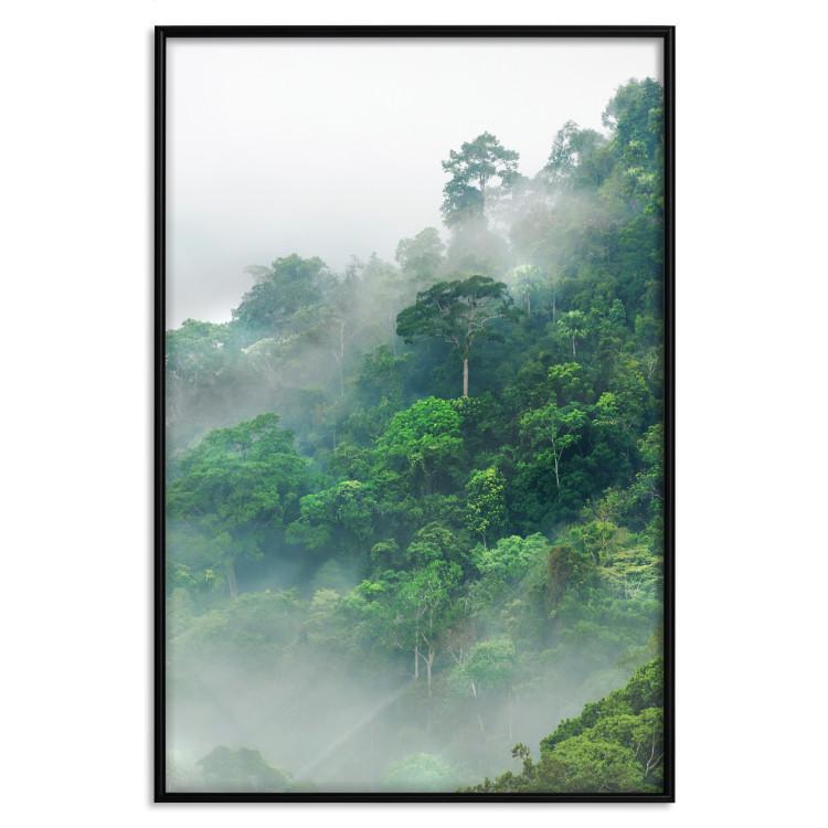 Poster Lush Forest [Poster]