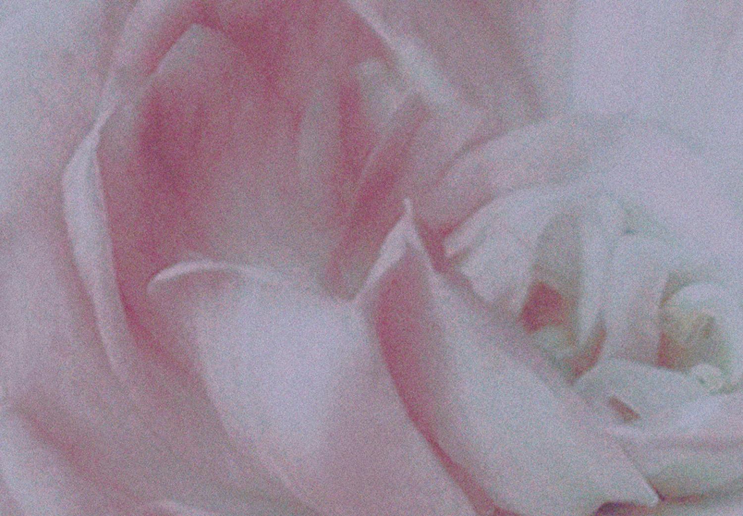 Canvas Morning Roses (1 Part) Vertical